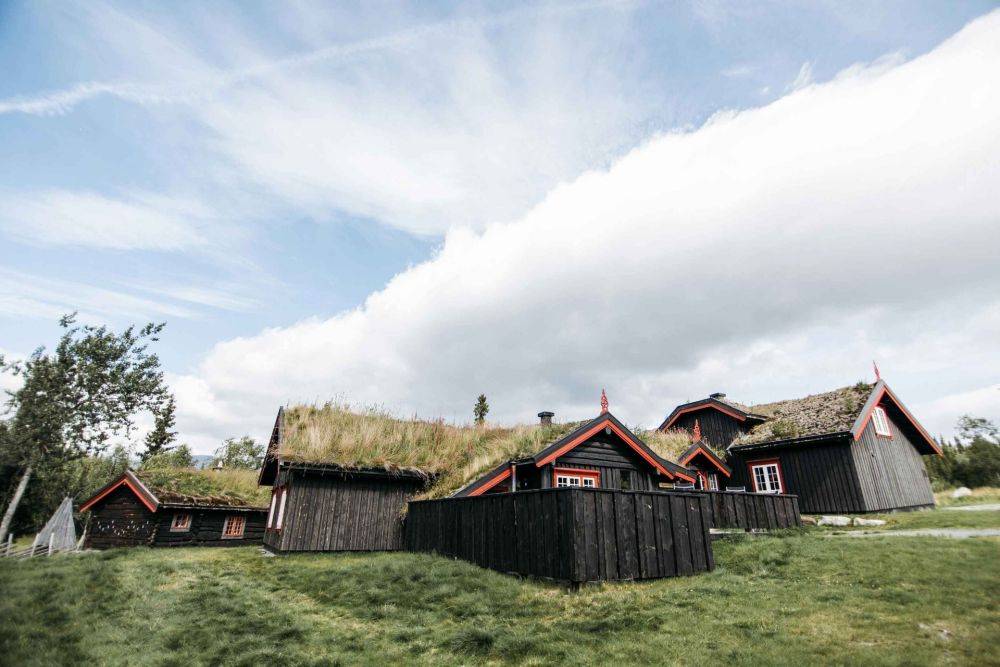 Sprøytesåing for raske og robuste gressflater